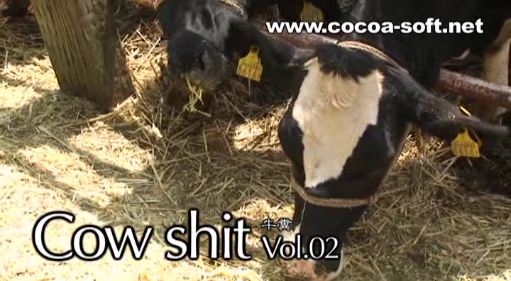 JAV - Cow shit Vol.02 (Asian, Solo) Fetish [DVDRip]  Scatting.net - Real  Scat Porn Downloads from VipFile.cc